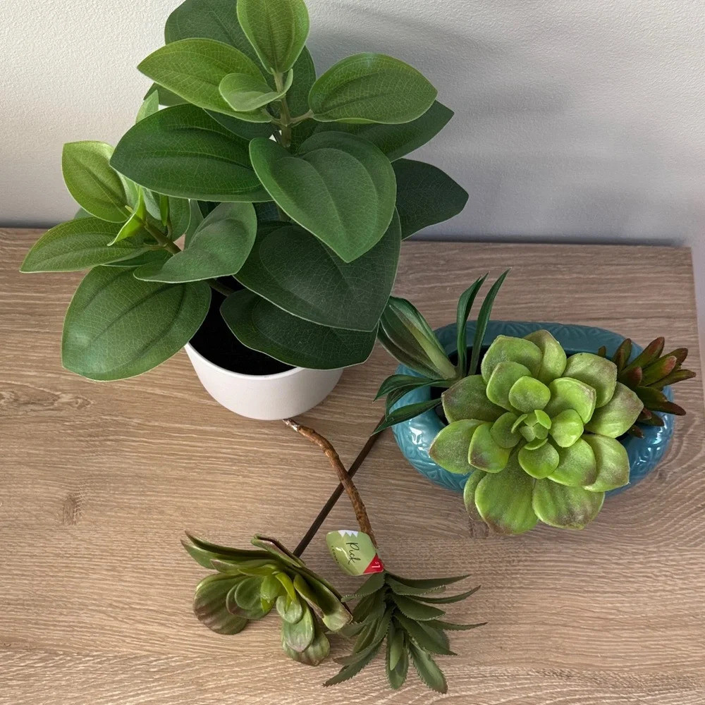 Target Faux Plant + Succulents